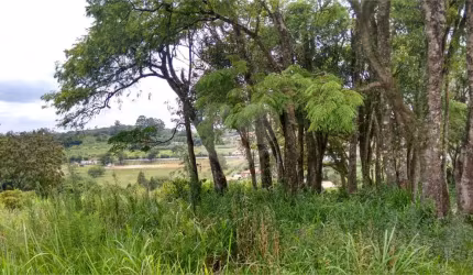 Área de Terra à venda em Ivoturucaia - SP
