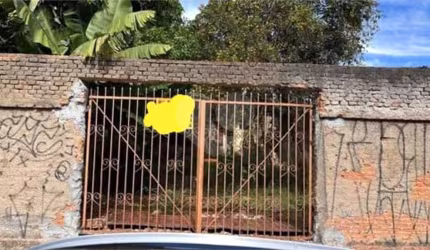 Terreno com 1 quartos à venda em Parque São Luiz - SP