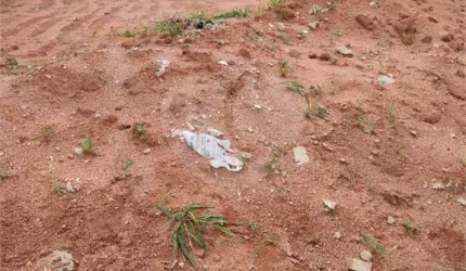 Terreno à venda em Residencial Botânica - SP