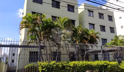 Apartamento com 2 quartos à venda em Jardim Anchieta - SP