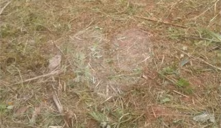 Terreno à venda em Sítio São José - SP