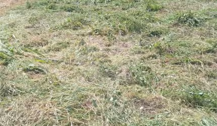 Terreno à venda em Bosque - SP