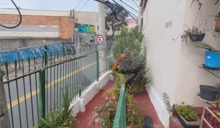 Casa com 3 quartos à venda em Vila Aparecida - SP