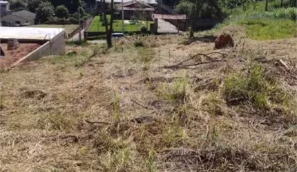 Terreno à venda em Jardim Colônia - SP