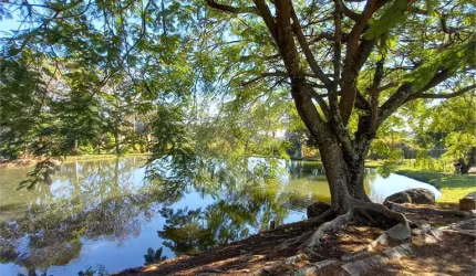 Sítio à venda em Parque Da Grama - SP