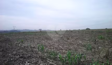 Área de Terra à venda em Área Rural De Sumaré - SP