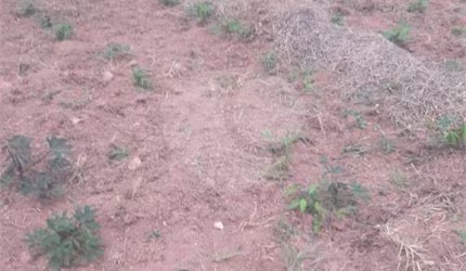 Área de Terra à venda em Loteamento Pinheirinho - SP
