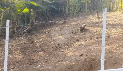 Terreno à venda em Vila Souza - SP