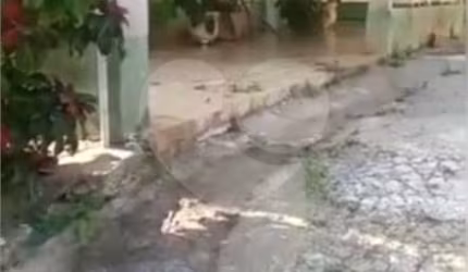 Chácara com 2 quartos à venda em Vivenda - SP
