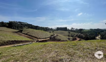 Terreno à venda, 1200m² por R$ 700.000 - Centro - Campo Alegre/SC