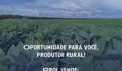 Venda Lote GOIANIA GO Brasil