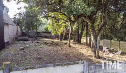Terreno à venda, 645 m² por R$ 740.000,00 - Mossunguê - Curitiba/PR