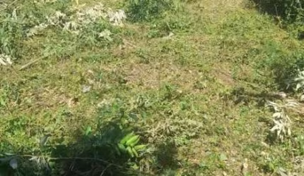 Terreno à venda na Rua Arthur Alberto Zanela, 231, Lomba do Pinheiro, Porto Alegre, 127 m2 por R$ 75.000