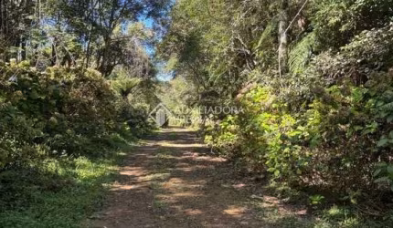 Terreno à venda na Maracajás, 12, Loteamento Colinas de são Francisco, São Francisco de Paula, 675 m2 por R$ 80.000