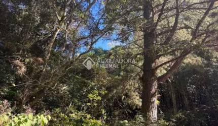 Terreno à venda na Maracajás, 13, Loteamento Colinas de são Francisco, São Francisco de Paula, 675 m2 por R$ 80.000