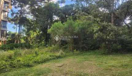 Terreno em condomínio fechado à venda na Dos Tucanos, 11, Quinta da Serra, Canela, 1552 m2 por R$ 980.000