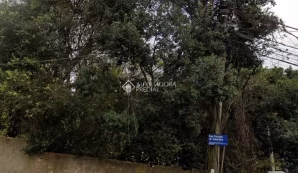 Terreno à venda na Rua Primeiro de Setembro, 896, Vila São José, Porto Alegre, 442 m2 por R$ 500.000