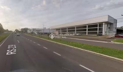 Ponto comercial para alugar na Rodovia RS-239, 1911, Operário, Novo Hamburgo, 1100 m2 por R$ 36.300