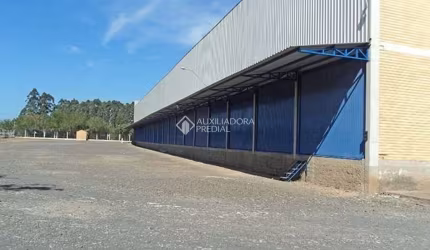 Barracão / Galpão / Depósito para alugar na Rodovia RS-020, 15155, Neópolis, Gravataí, 4000 m2 por R$ 80.000