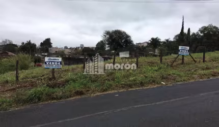 TERRENO À VENDA NO JARDIM ALPHAVILLE - ESTRELA
