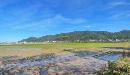 Terreno à venda, 14,000 m² por R$ 7.000.000,00 - Espinheiros - Itajaí/SC