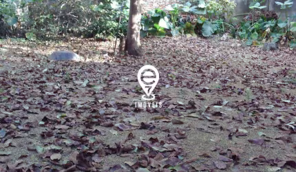 Terreno à venda, Vila da Saúde - São Paulo/SP