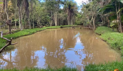 Chácara / sítio com 4 quartos à venda na Zona Rural Aragoiania, 100, Zona Rural, Aragoiânia por R$ 1.000.000