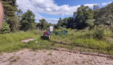 Terreno - Salgado Filho