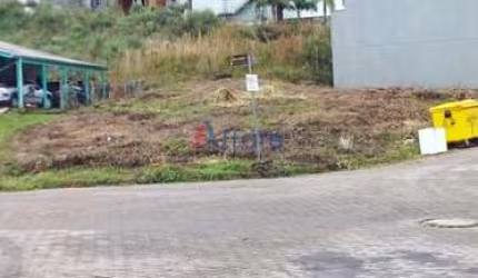 Terreno,  videiras -  Flores da Cunha -