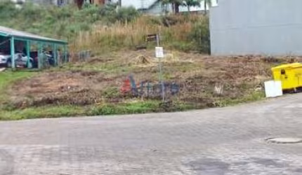 Terreno,  videiras -  Flores da Cunha -