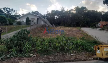 Terreno - União - Flores da Cunha