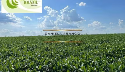 Fazenda à venda na Rural, 24, Área Rural de Assis, Assis