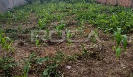 terreno plano todo murado