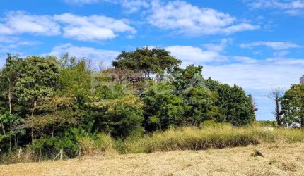 Venda de Terreno / Lote na cidade de São Carlos