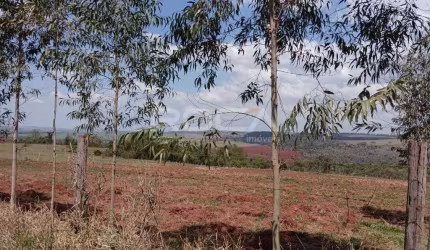 Oportunidade única! Sítio à venda no Distrito de Santa Eudoxia, São Carlos