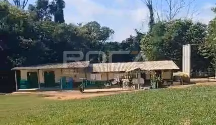 Chácara / sítio com 2 quartos à venda em Água Vermelha, São Carlos , 12000 m2 por R$ 2.750.000