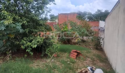 Oportunidade única! Terreno padrão à venda no Jardim dos Coqueiros, São Carlos.