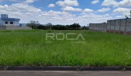 Oportunidade única: Terreno padrão à venda em Vista Alegre - São Carlos