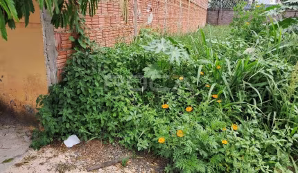 Terreno Residencial à venda no Jardim Ipanema, São Carlos - Oportunidade Imperdível!