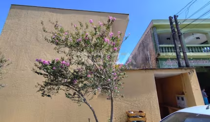 Apartamento para alugar na Vila Marina, São Carlos: aconchegante kitnet de 1 dormitório!
