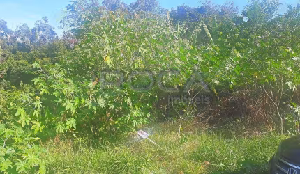Terreno à venda no Jardim Brasil, São Carlos | Espaço com Canil