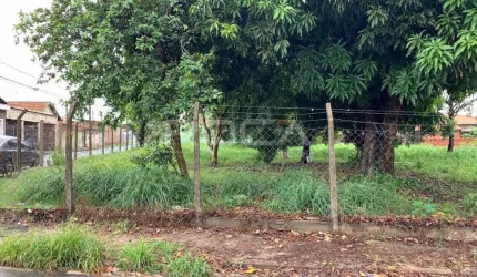 Terreno à venda na Vila Izabel, São Carlos - Oportunidade única!
