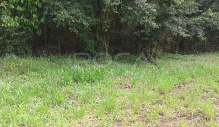 Terreno à venda no Jardim Embaré, São Carlos - Oportunidade única!