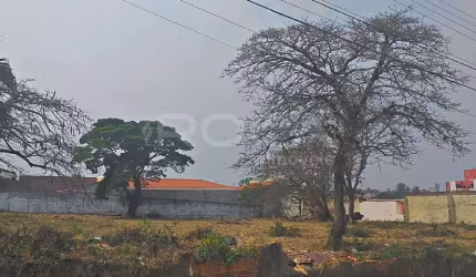 Venda de Terreno / Padrão na cidade de São Carlos
