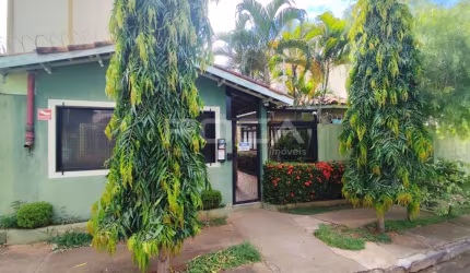 Apartamento Padrão para Alugar no Jardim Paulistano, São Carlos