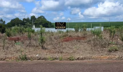 Terreno à Venda no Conjunto Araucárias