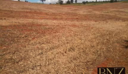 Sítio à Venda em Grandes Rios