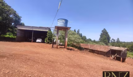 Fazenda de 77 Alqueires em Arapongas, PR!