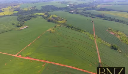 Fazenda - Psicultura avançada e Agropecuária