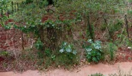 Terreno a venda na Vila Triângulo